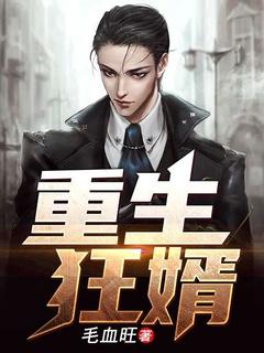 狂婿重生之2000年