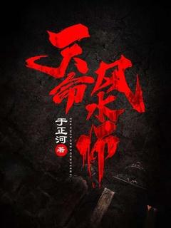 天命风水师陈小二