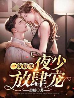 一夜情深夜少放肆宠!乔菲儿。作者桑榆