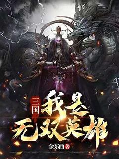 我才是真三国无双