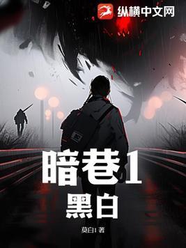 暗巷1黑白TXT电子书