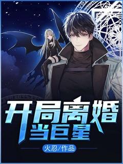 开局离婚当巨星火忍