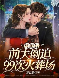 前夫追妻火葬场