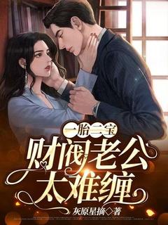 一胎二宝总裁老公狠宠溺