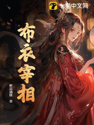 布衣宰相电视剧