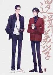 逻辑美学by廿小萌txt