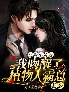 空降总裁独宠小辣妻