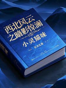 西北风云电影完整版