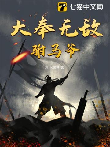 无敌驸马爷2第二部