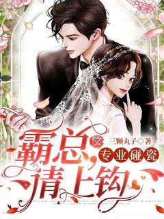 专业碰瓷是什么意思