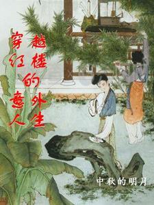穿越红楼意外人生 中秋的明月