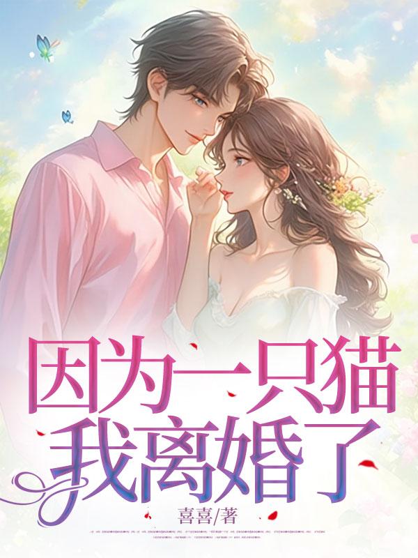 因为一只猫引发的血案