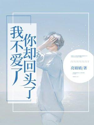 我不爱了你却回头了txt