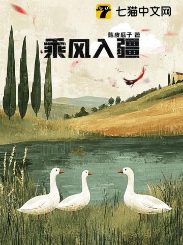 乘风入雪多年