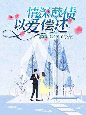 孽债深埋的爱后续