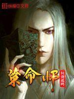 策命师电视剧免费观看