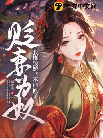 贬妻为奴?我撕毁婚书不伺候了作者端木摇