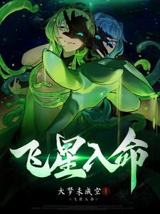 飞星入命是什么意