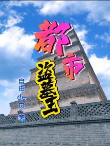都市寻宝记在线阅读