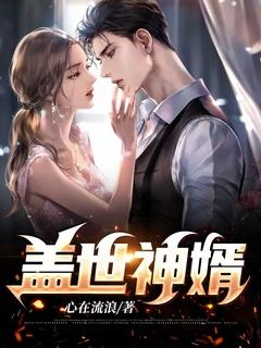 盖世赘婿