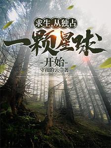从独占一颗星球开始 守夜的云