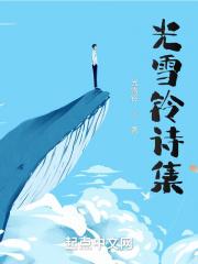 获得光的资格 诗集