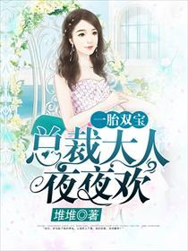 一胎双宝总裁大人夜夜欢完整版.....