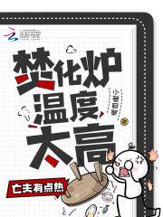焚化炉温度