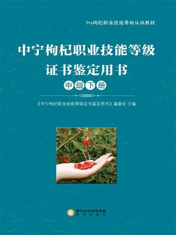 宁夏技能等级证书查询
