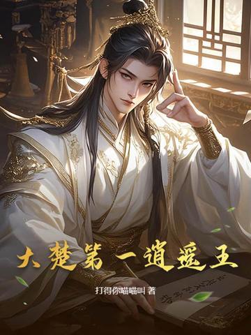 大楚第一圣君txt
