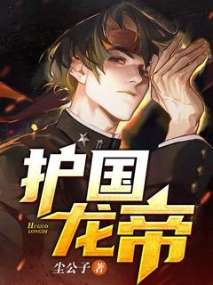 护国龙帝免费全文阅读
