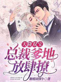 天降双宝总裁宠妻无下限