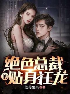 绝色总裁的贴身护卫无弹窗