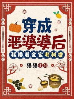 穿成恶婆婆后我带着全家考科举讲的啥