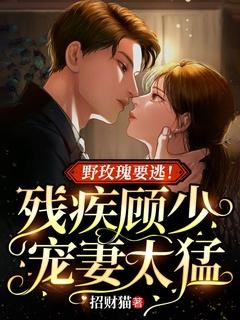 言情野玫瑰