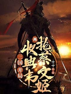 三国开局收典韦再抢蔡文姬作者十十