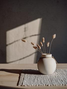 穿成恶毒师尊后