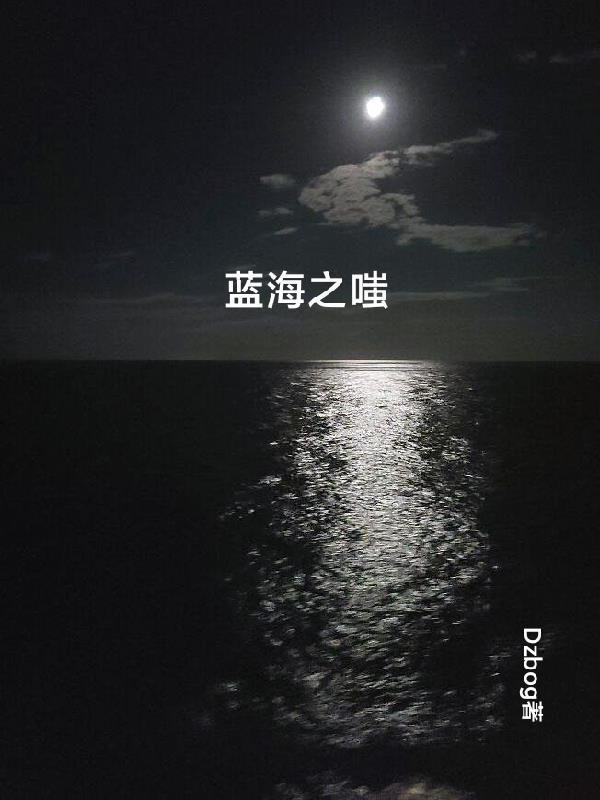 蓝海之略现状