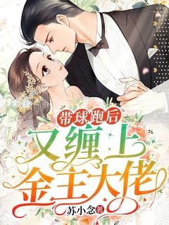 带球跑后又缠上金主大佬