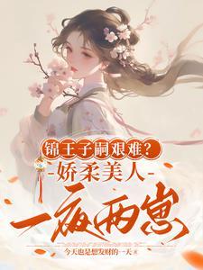锦王爷377章