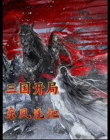 三国开局成为