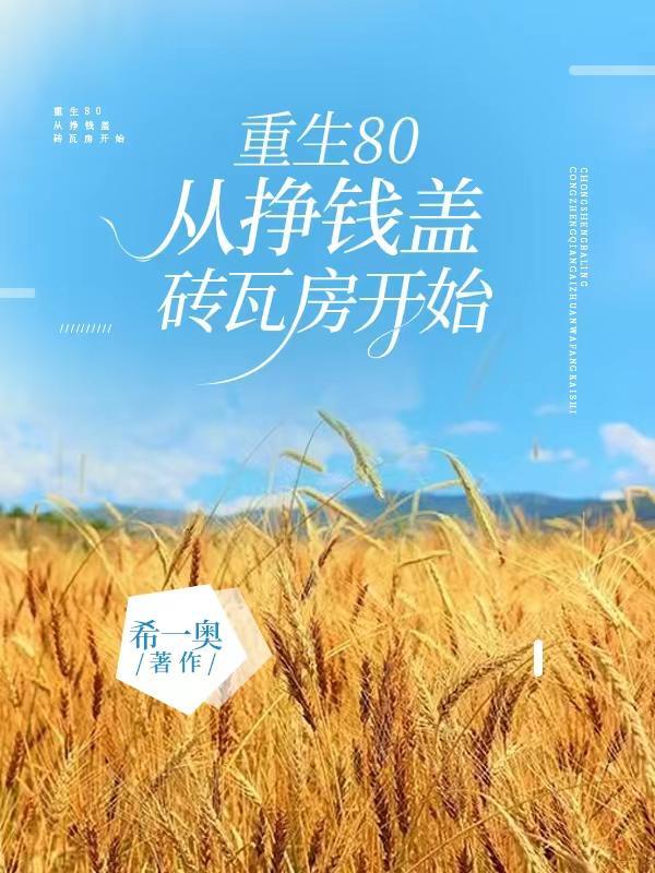 重生80从挣钱盖砖瓦房开始动漫 重生80从挣钱盖砖瓦房开始动漫