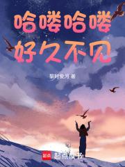 哈喽好久不见怎么回复