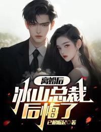 离婚后冰山总裁后悔了陆辰