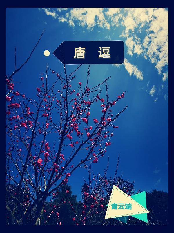 唐逗综艺免费观看全部