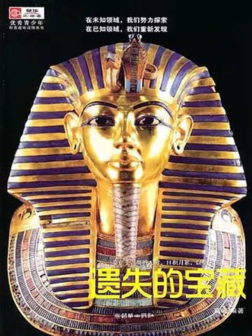 遗失的宝藏2攻略