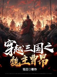 穿越三国之曹家我做主曹魏