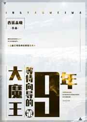 大魔王等待向导的第九年21