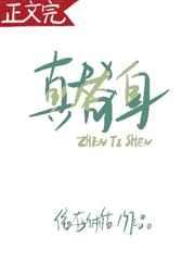 真替身依存体质