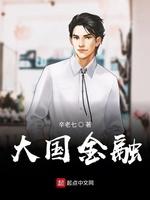 大国金融TXT电子书
